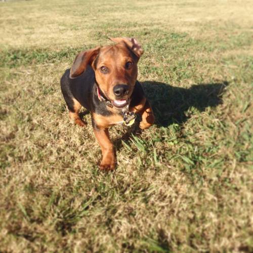 10410648_10202893571435739_1640732101127296304_n